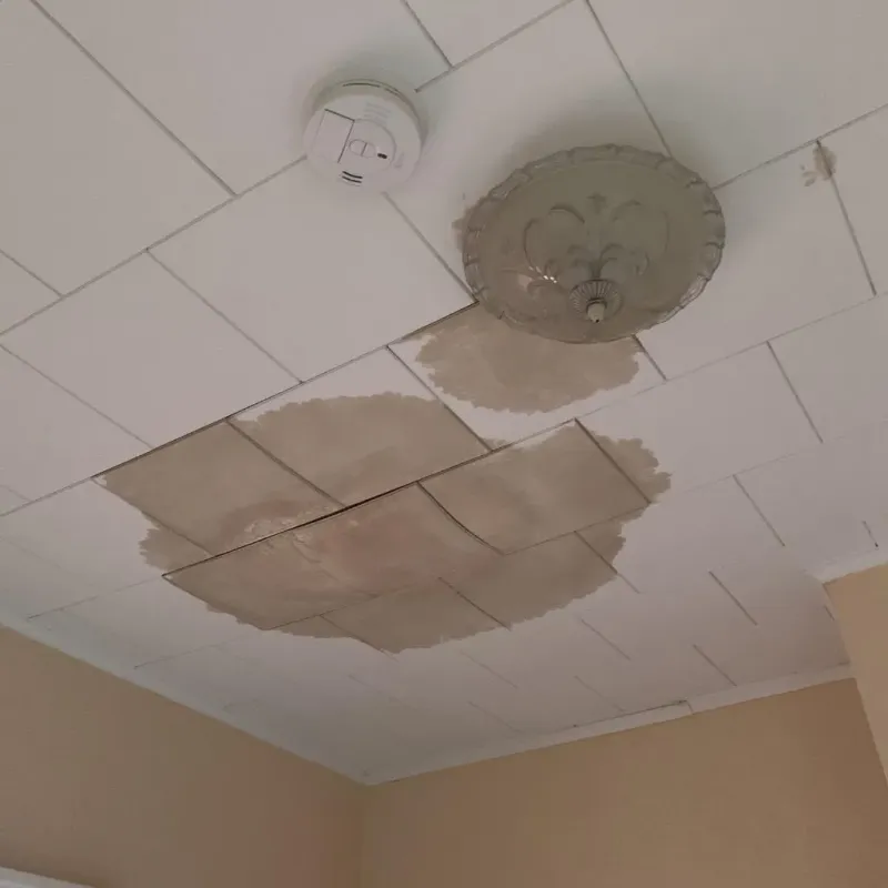 Ceiling Water Damage Repair in Helper, UT