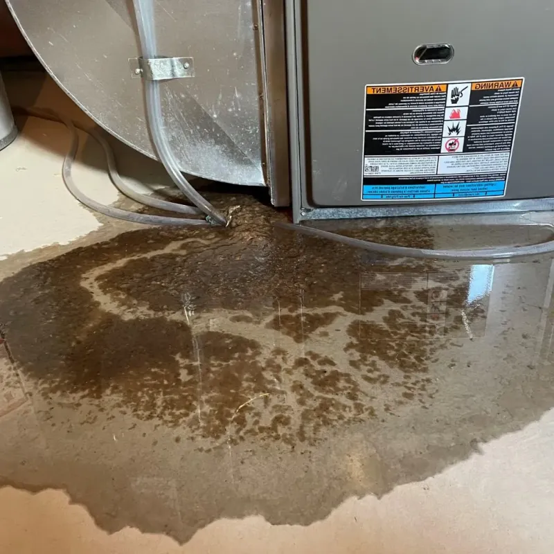 Pipe Burst and Leak Restoration in Helper, UT