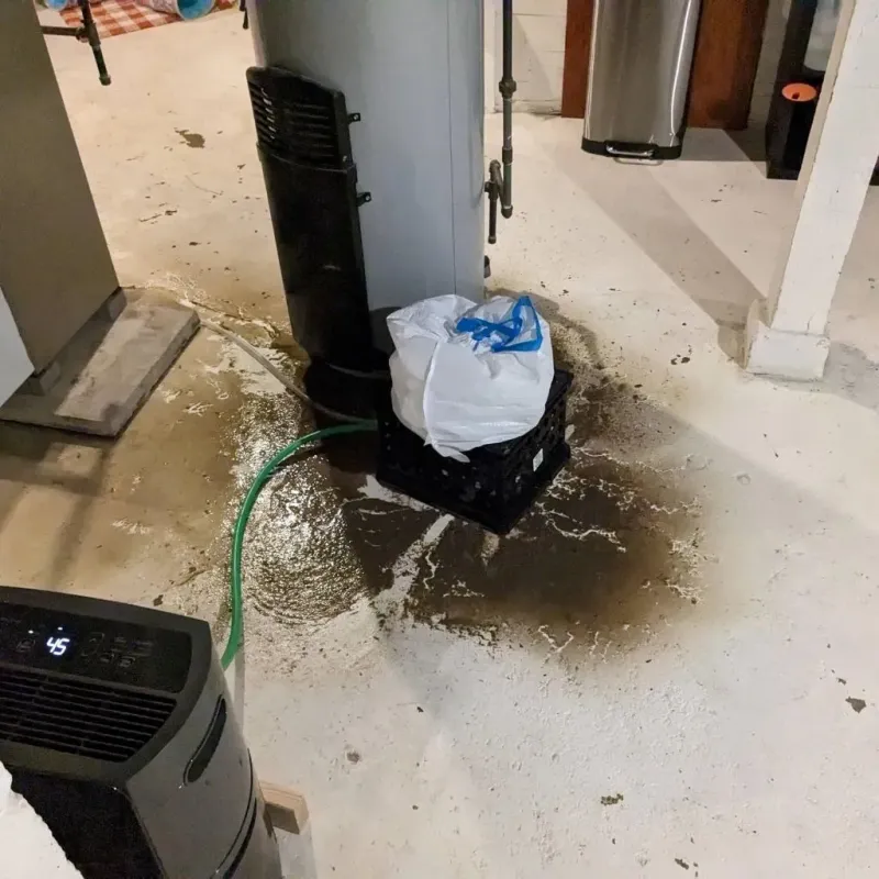 Sewage Backup Cleanup Service in Helper, UT